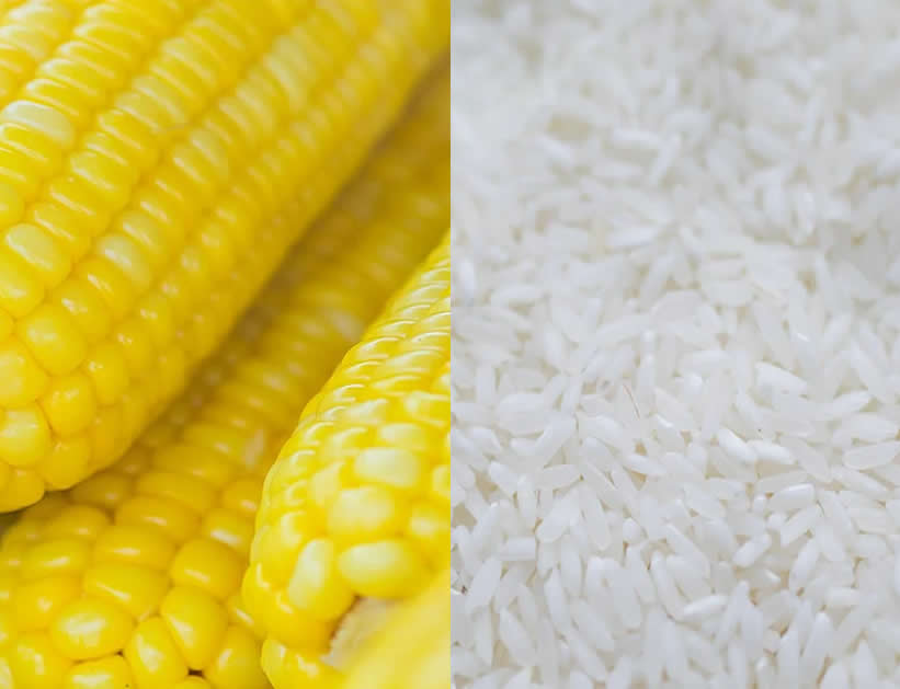arroz milho